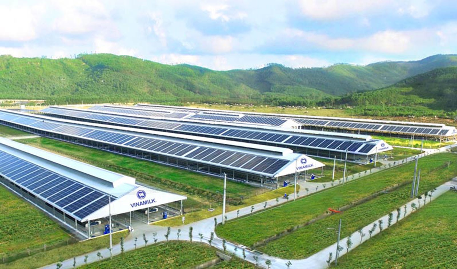 vinamilk-da-trien-khai-thanh-cong-he-thong-trang-trai-sinh-thai-vinamilk-green-farm